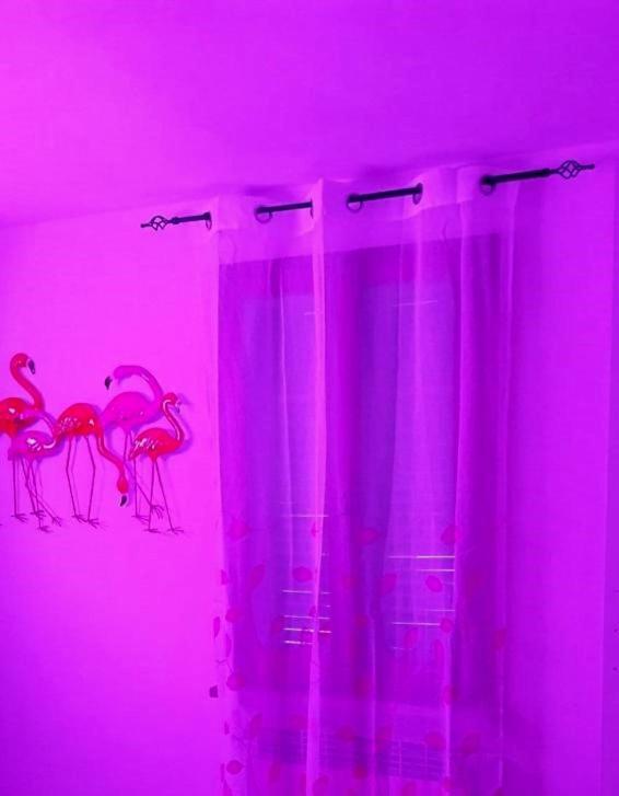 Апартаменти La Casa Colorata Читта-ді-Кастелло Екстер'єр фото